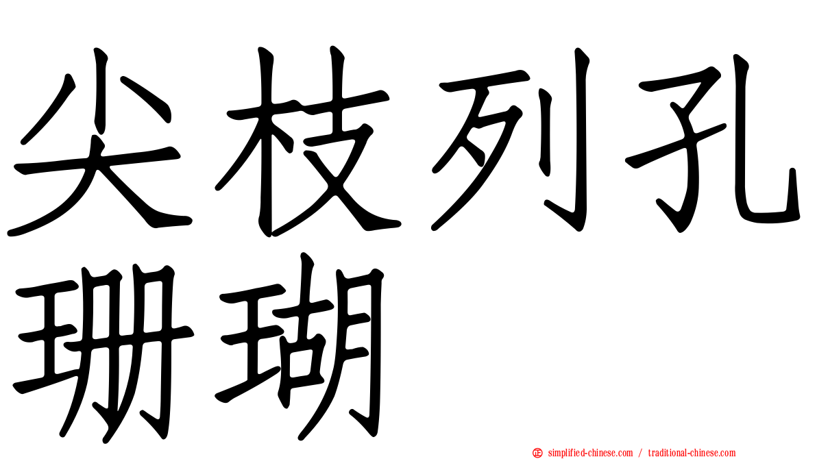 尖枝列孔珊瑚