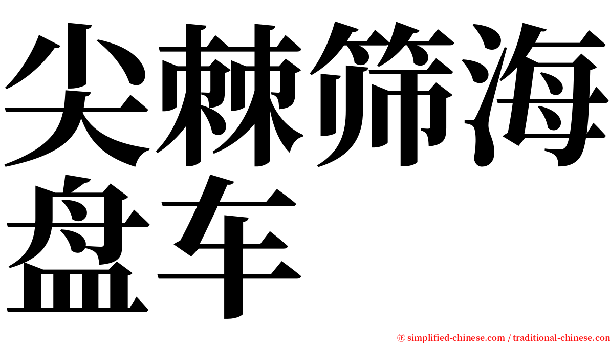 尖棘筛海盘车 serif font