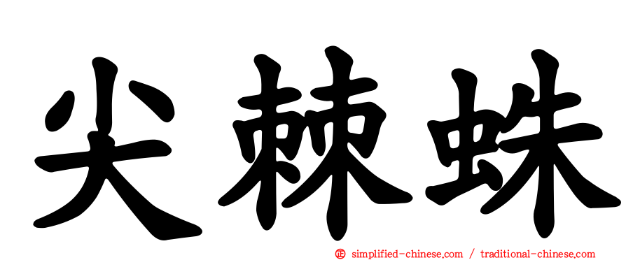 尖棘蛛