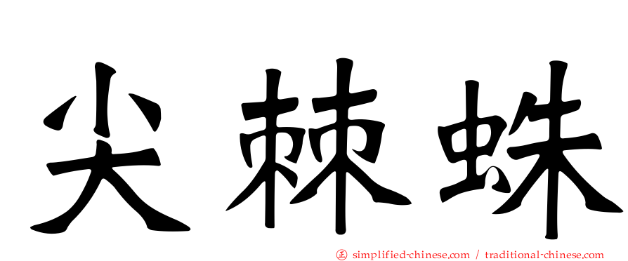 尖棘蛛
