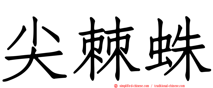 尖棘蛛