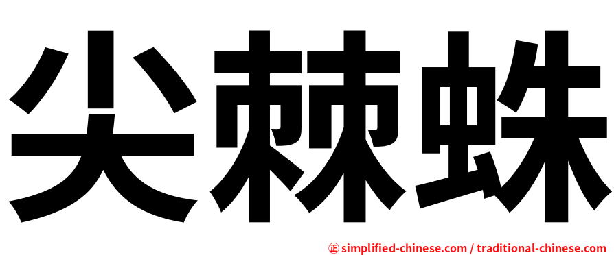 尖棘蛛