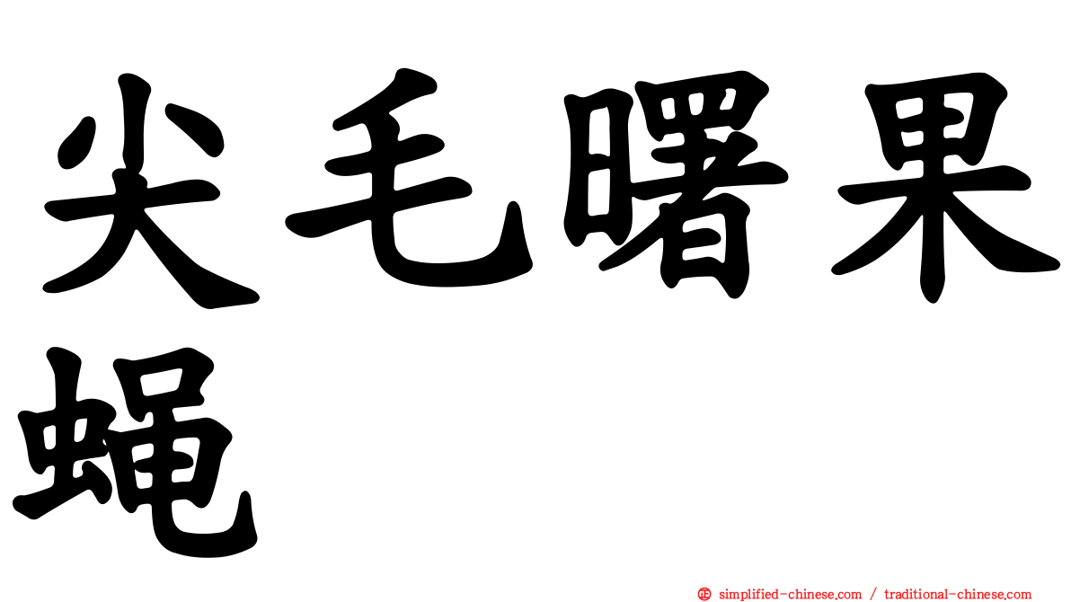 尖毛曙果蝇