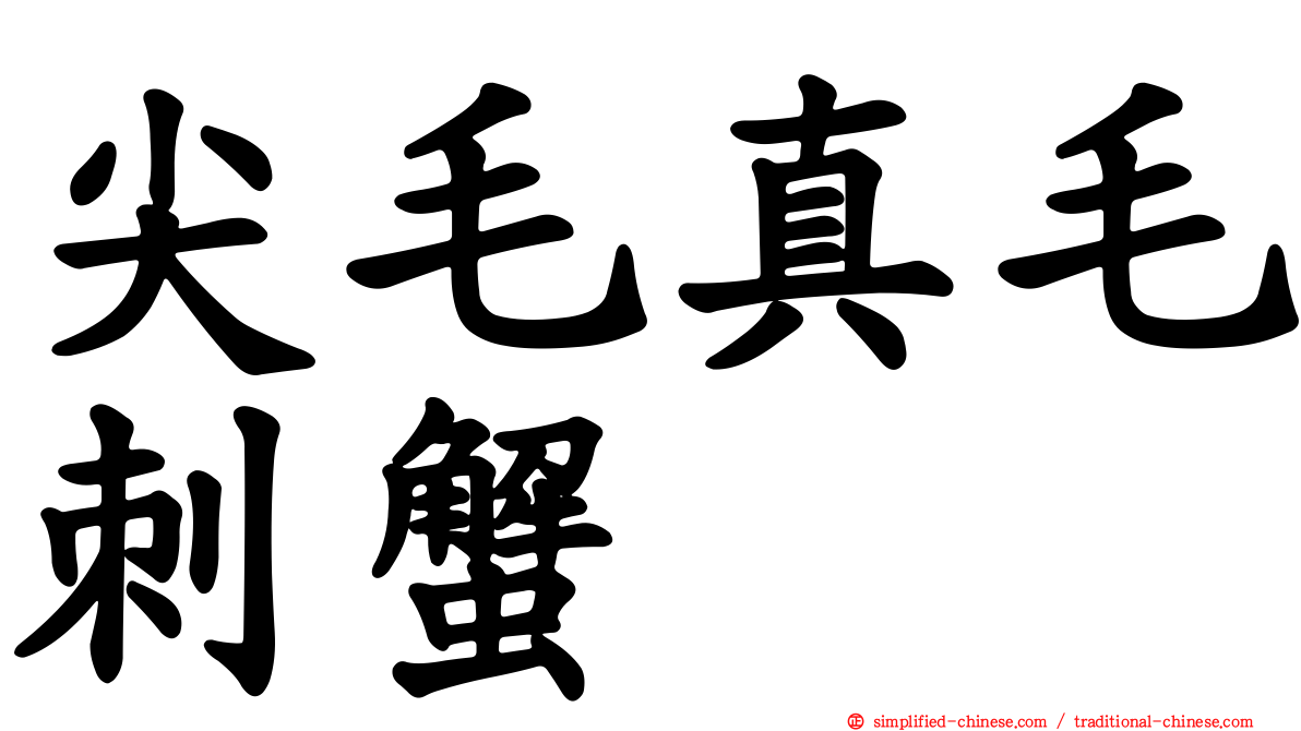 尖毛真毛刺蟹