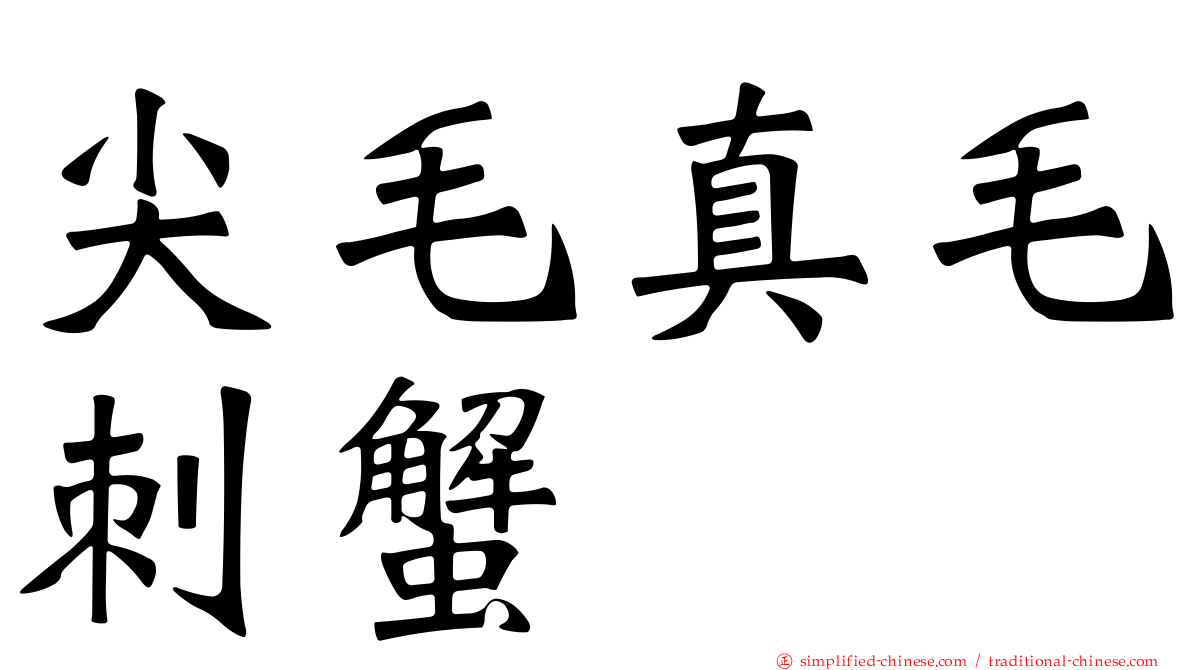 尖毛真毛刺蟹