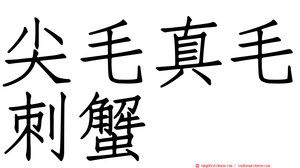 尖毛真毛刺蟹