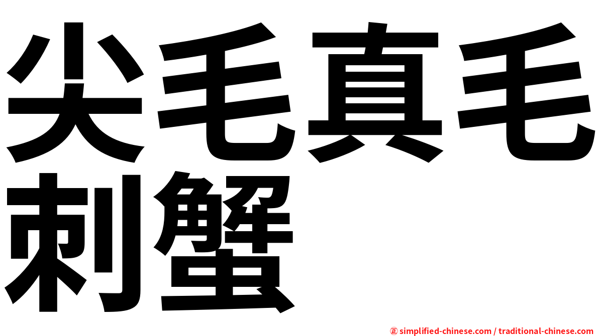 尖毛真毛刺蟹