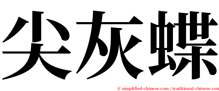 尖灰蝶 serif font