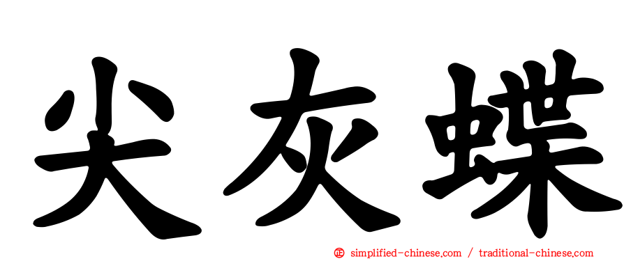 尖灰蝶