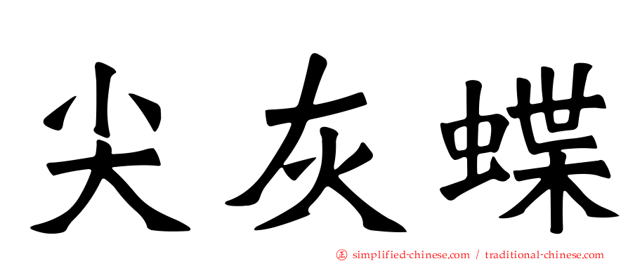 尖灰蝶