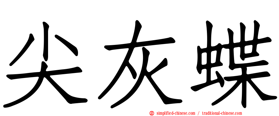 尖灰蝶