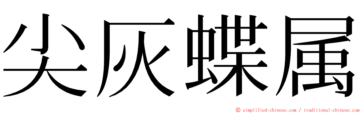 尖灰蝶属 ming font