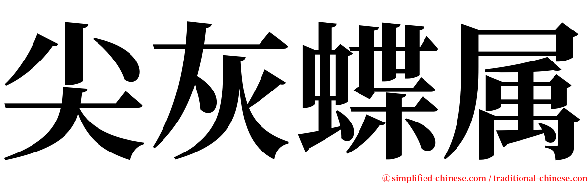 尖灰蝶属 serif font
