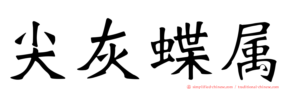 尖灰蝶属