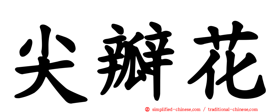 尖瓣花