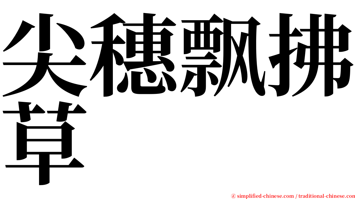 尖穗飘拂草 serif font