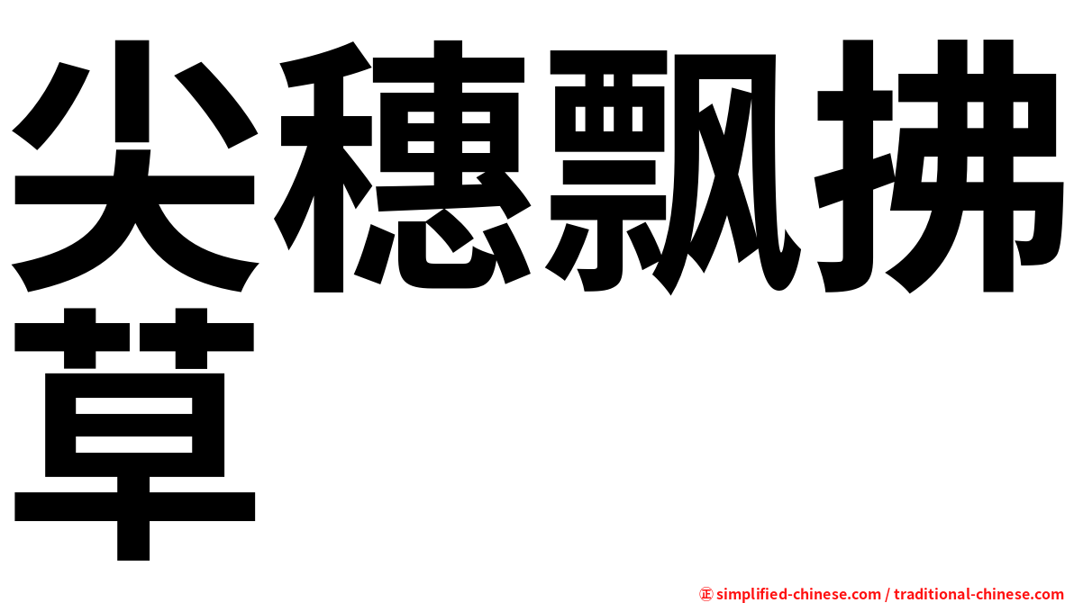 尖穗飘拂草