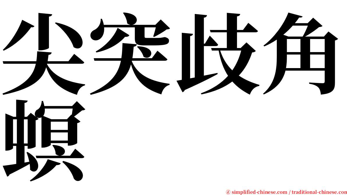 尖突歧角螟 serif font
