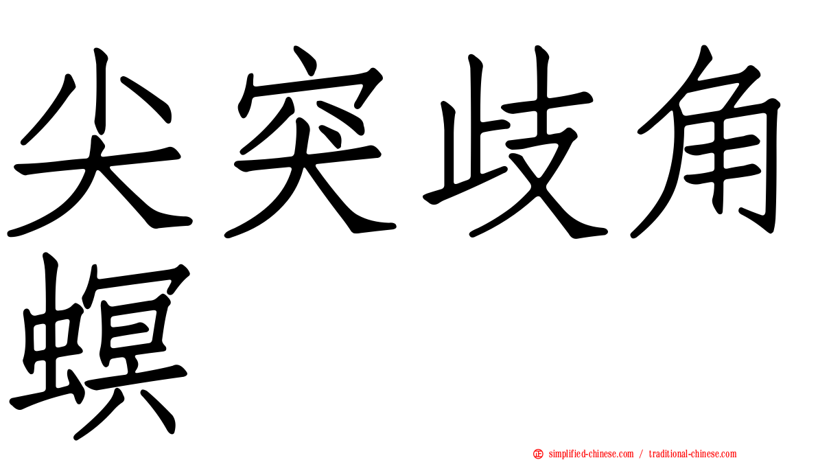 尖突歧角螟