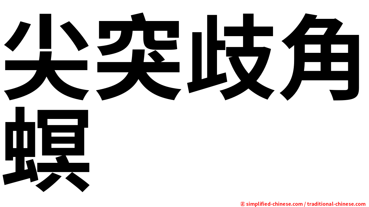 尖突歧角螟