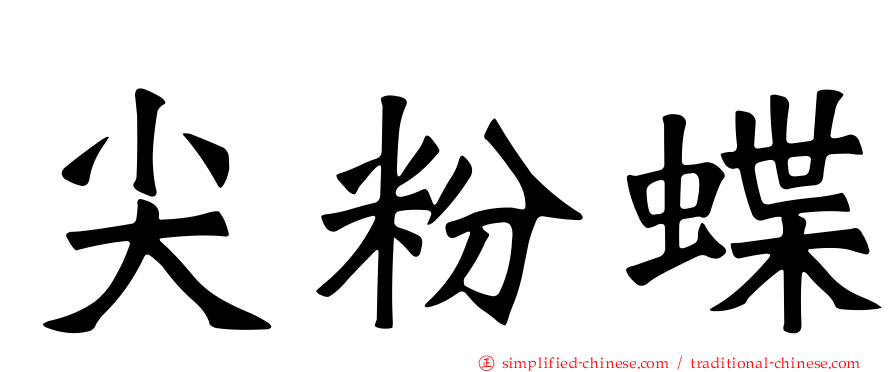尖粉蝶