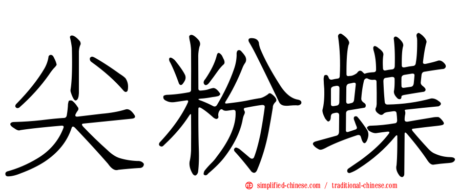 尖粉蝶