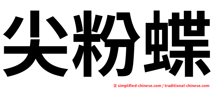 尖粉蝶