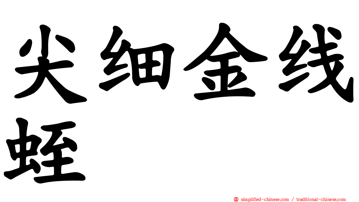 尖细金线蛭