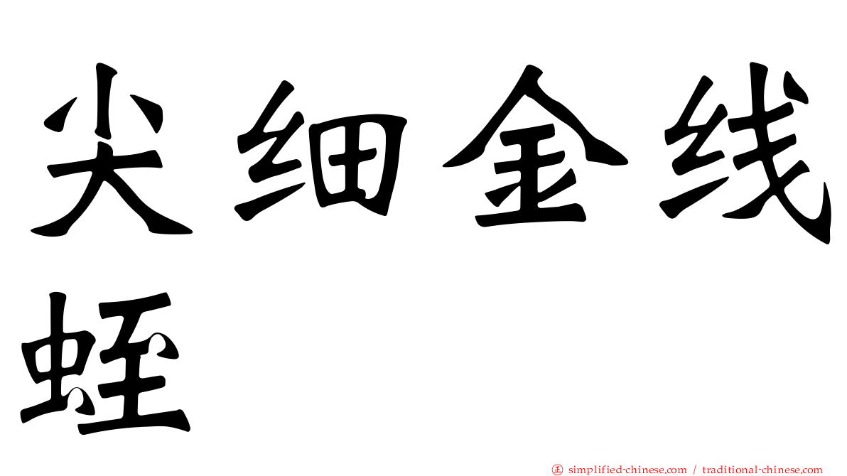 尖细金线蛭