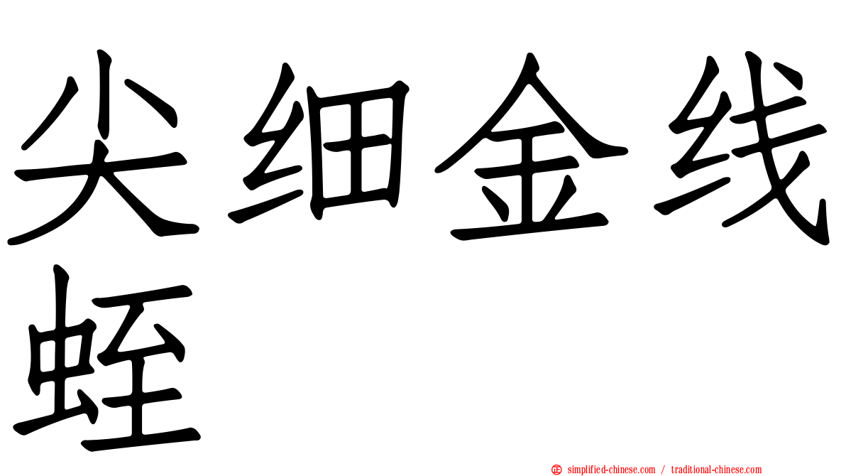 尖细金线蛭