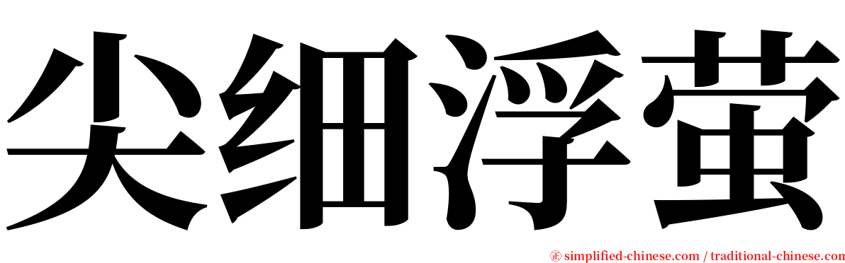 尖细浮萤 serif font