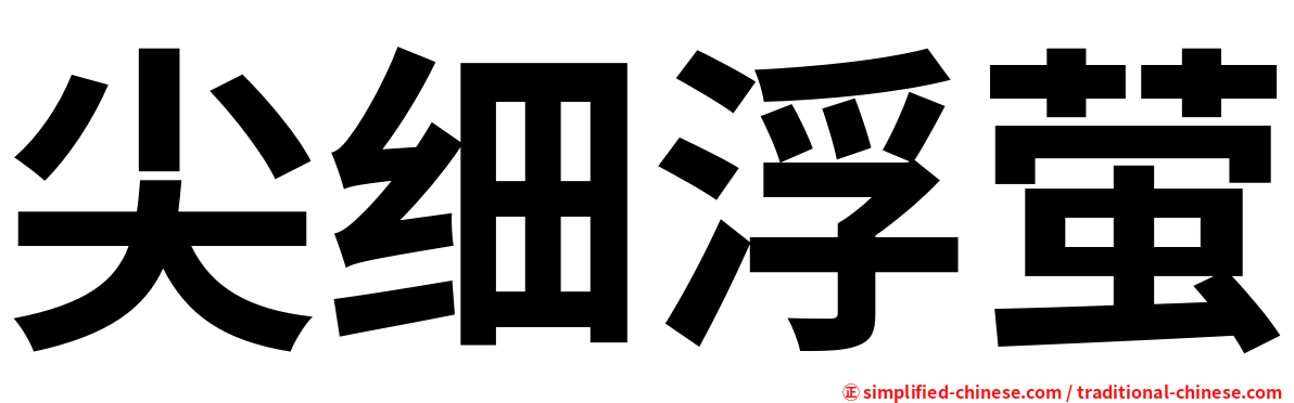 尖细浮萤