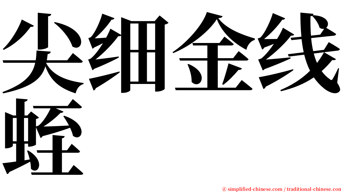 尖细金线蛭 serif font