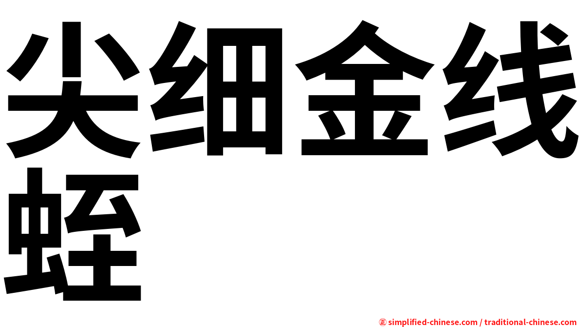 尖细金线蛭