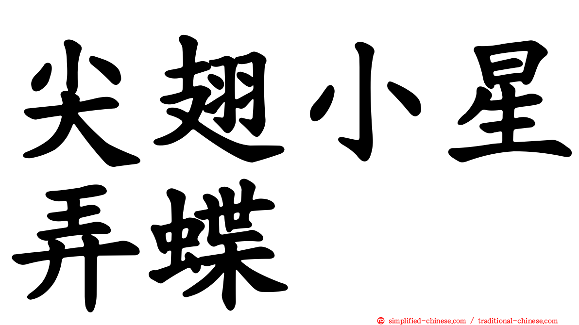 尖翅小星弄蝶