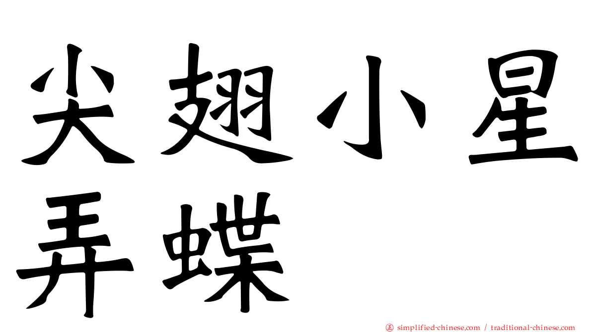 尖翅小星弄蝶