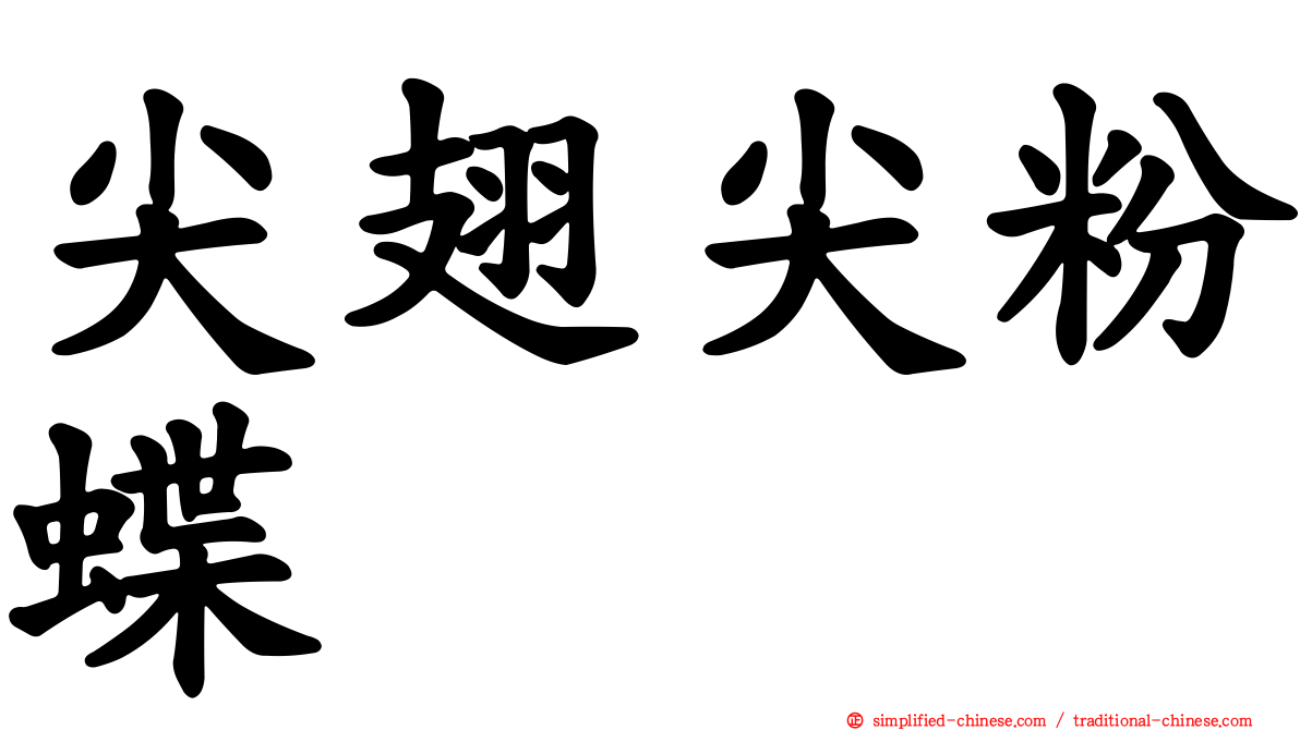 尖翅尖粉蝶