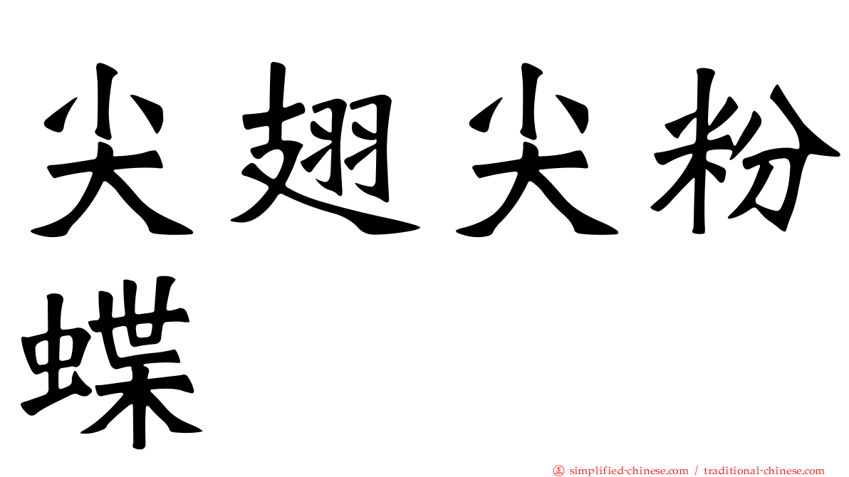 尖翅尖粉蝶
