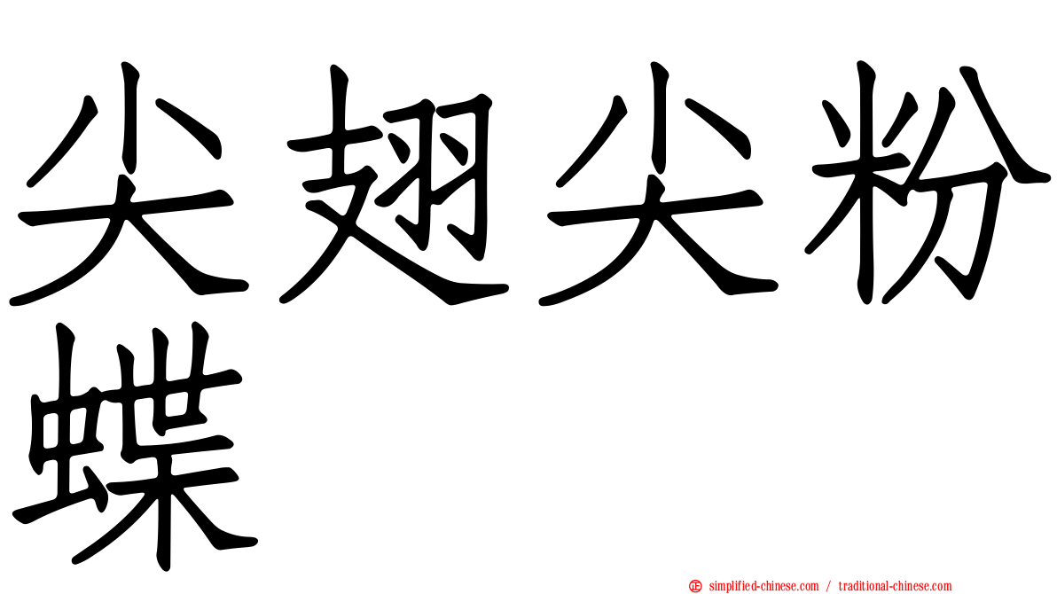 尖翅尖粉蝶
