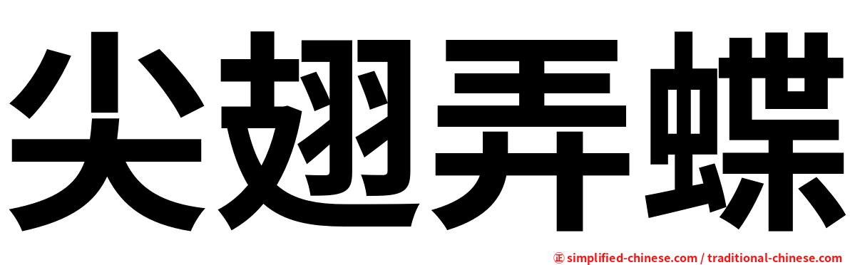 尖翅弄蝶