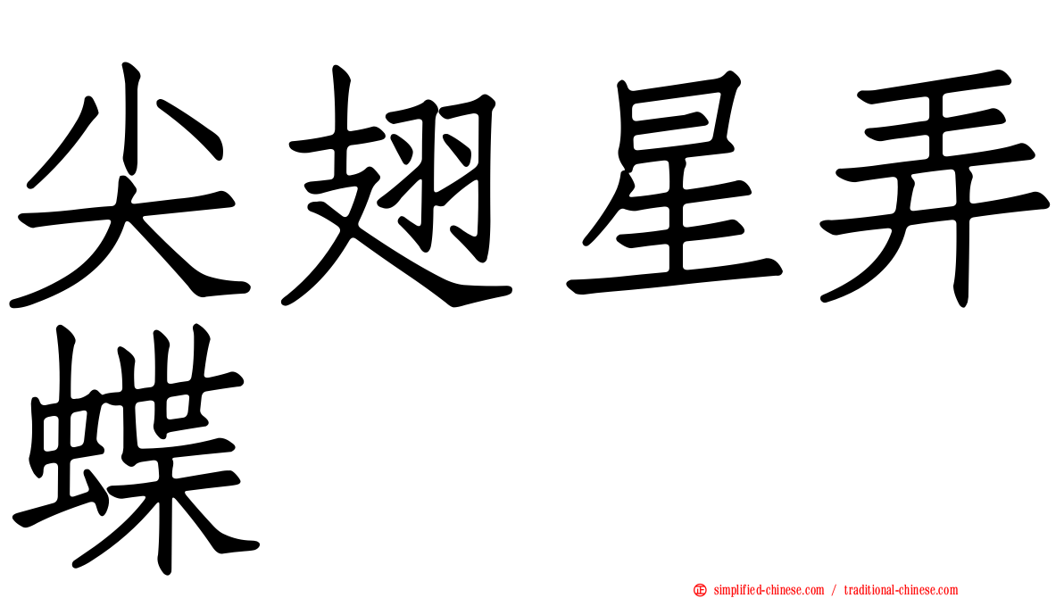 尖翅星弄蝶