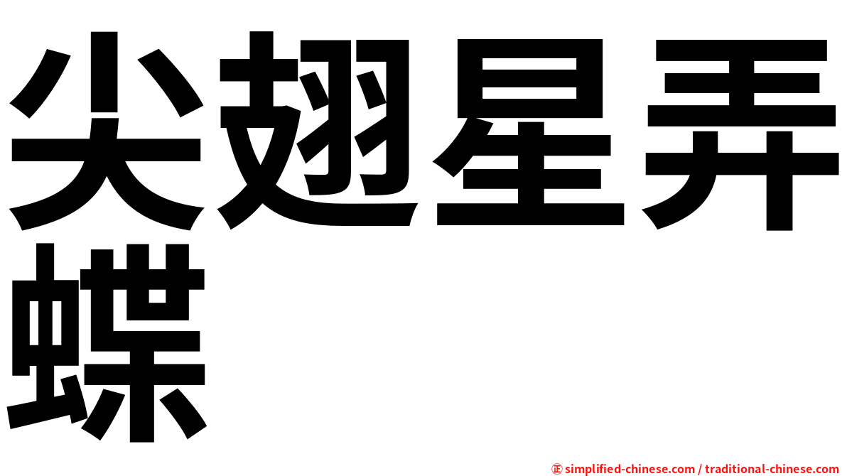 尖翅星弄蝶