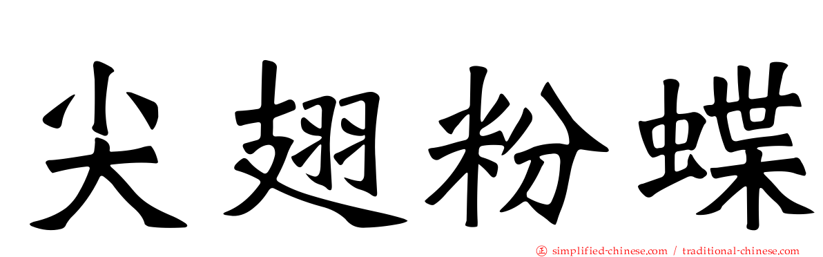 尖翅粉蝶