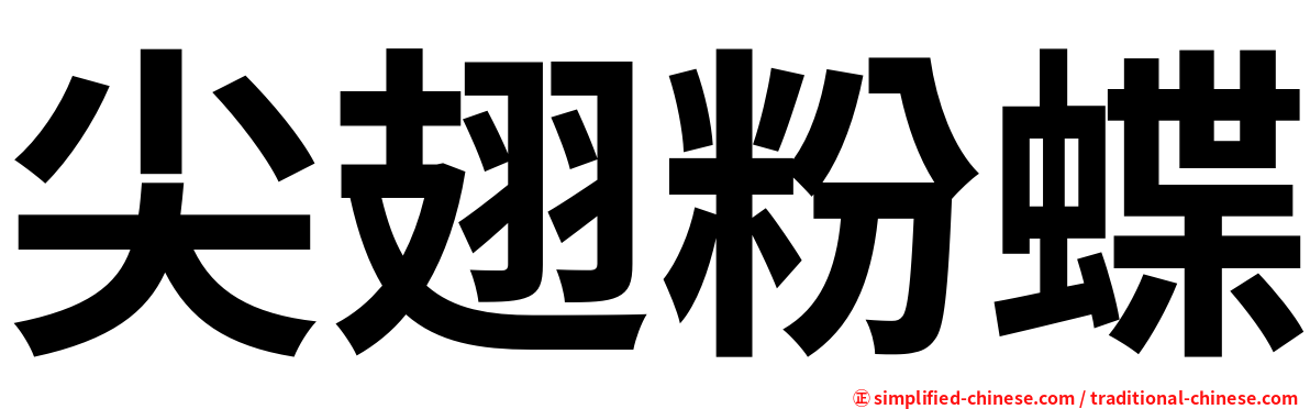尖翅粉蝶