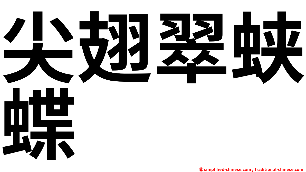 尖翅翠蛱蝶
