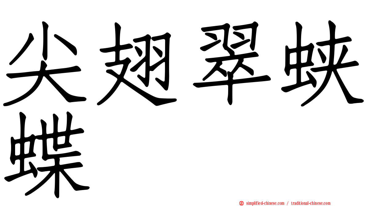 尖翅翠蛱蝶