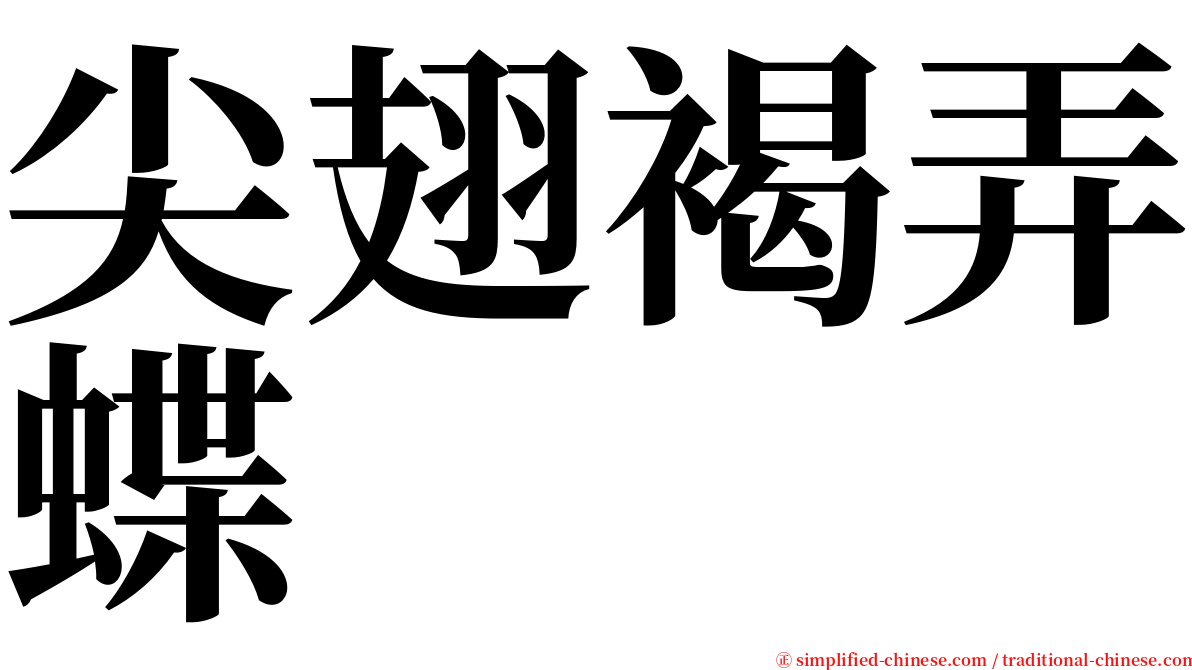 尖翅褐弄蝶 serif font