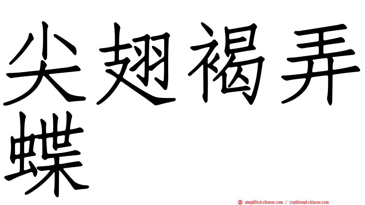 尖翅褐弄蝶