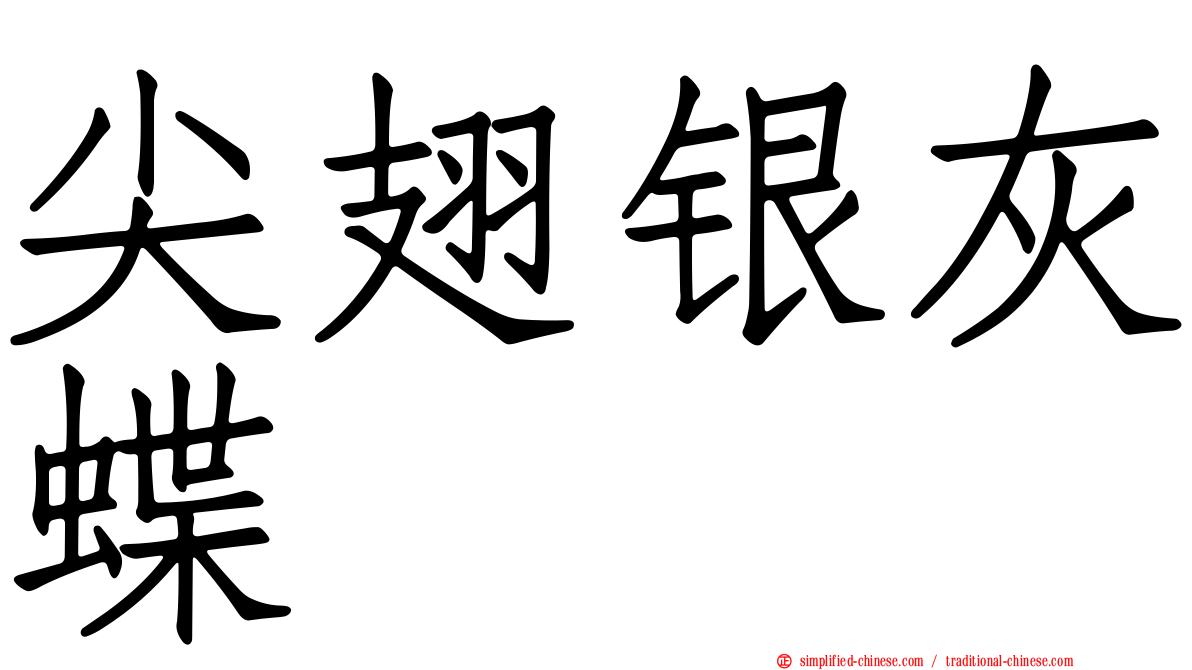尖翅银灰蝶