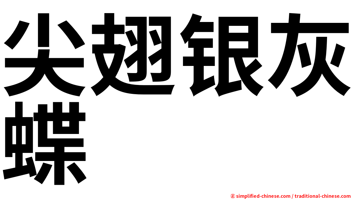尖翅银灰蝶